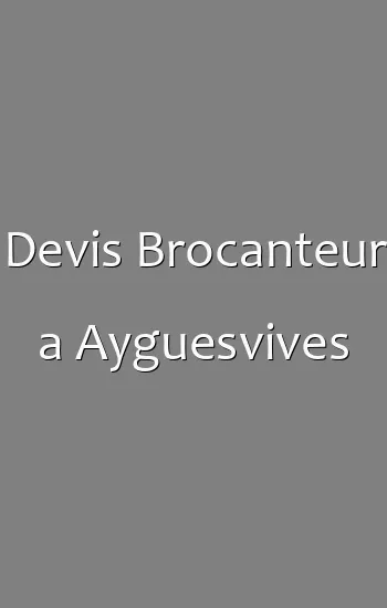 Devis Brocanteur a Ayguesvives