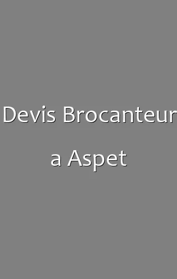 Devis Brocanteur a Aspet
