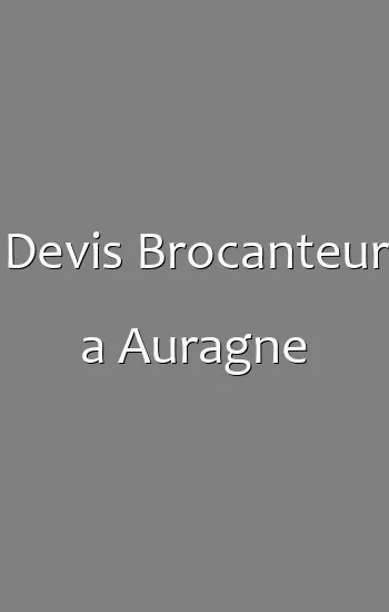 Devis Brocanteur a Auragne