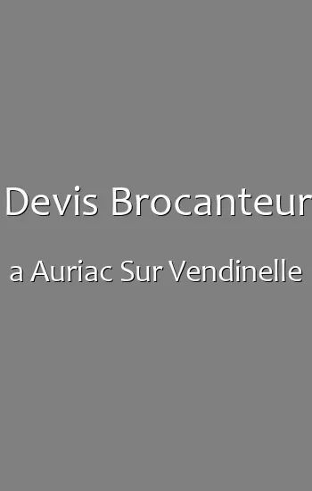 Devis Brocanteur a Auriac Sur Vendinelle