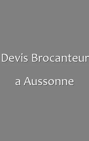 Devis Brocanteur a Aussonne