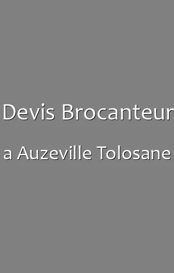Devis Brocanteur a Auzeville Tolosane