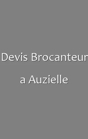 Devis Brocanteur a Auzielle