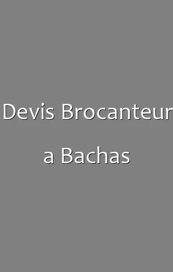 Devis Brocanteur a Bachas