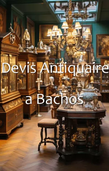 Devis Antiquaire a Bachos