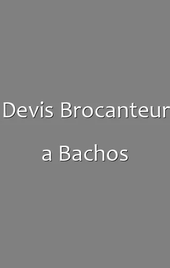Devis Brocanteur a Bachos