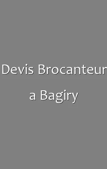 Devis Brocanteur a Bagiry
