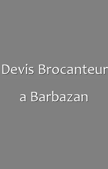 Devis Brocanteur a Barbazan