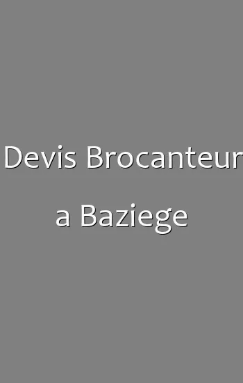 Devis Brocanteur a Baziege