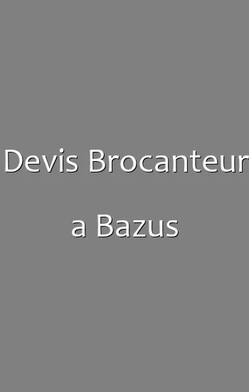 Devis Brocanteur a Bazus
