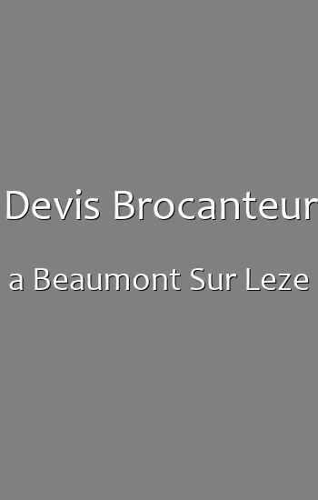 Devis Brocanteur a Beaumont Sur Leze