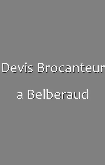 Devis Brocanteur a Belberaud