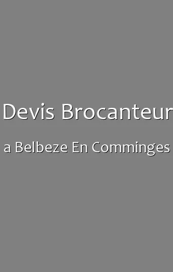 Devis Brocanteur a Belbeze En Comminges