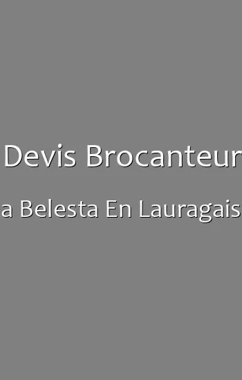 Devis Brocanteur a Belesta En Lauragais