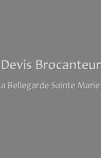 Devis Brocanteur a Bellegarde Sainte Marie