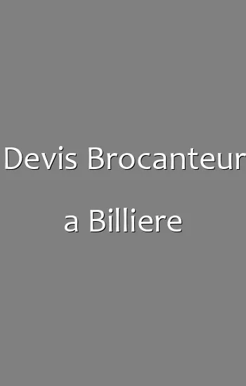Devis Brocanteur a Billiere
