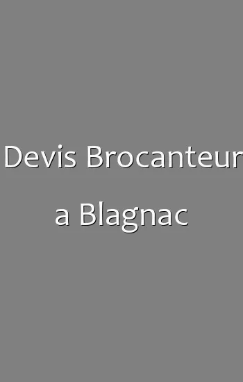 Devis Brocanteur a Blagnac