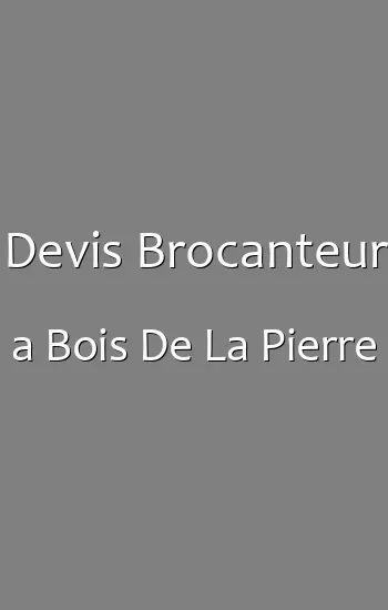Devis Brocanteur a Bois De La Pierre