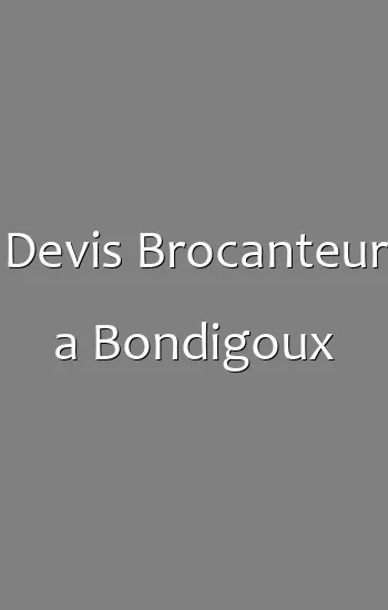 Devis Brocanteur a Bondigoux