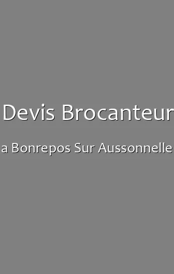 Devis Brocanteur a Bonrepos Sur Aussonnelle