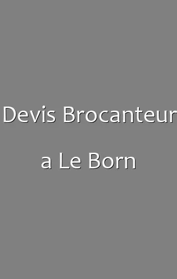 Devis Brocanteur a Le Born