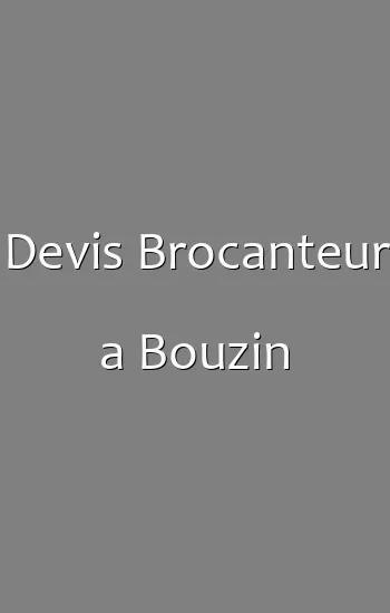 Devis Brocanteur a Bouzin