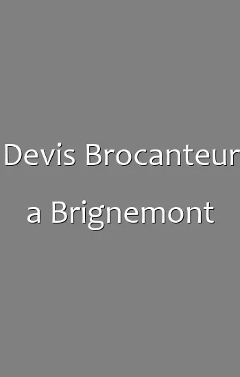 Devis Brocanteur a Brignemont