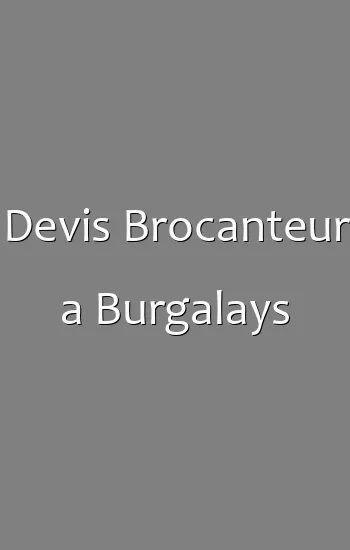 Devis Brocanteur a Burgalays