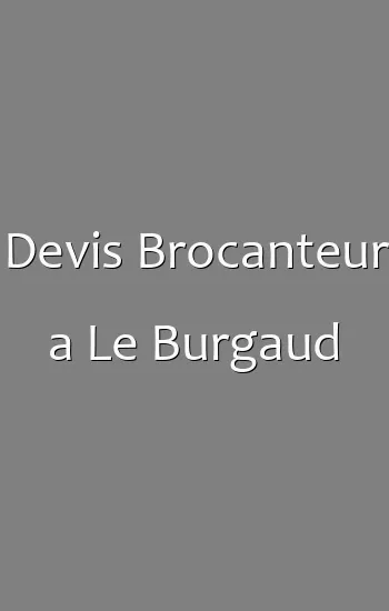 Devis Brocanteur a Le Burgaud