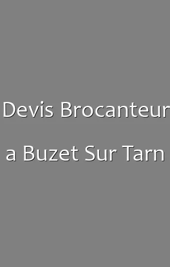 Devis Brocanteur a Buzet Sur Tarn