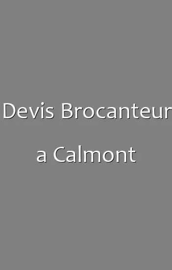 Devis Brocanteur a Calmont