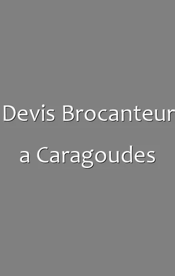 Devis Brocanteur a Caragoudes