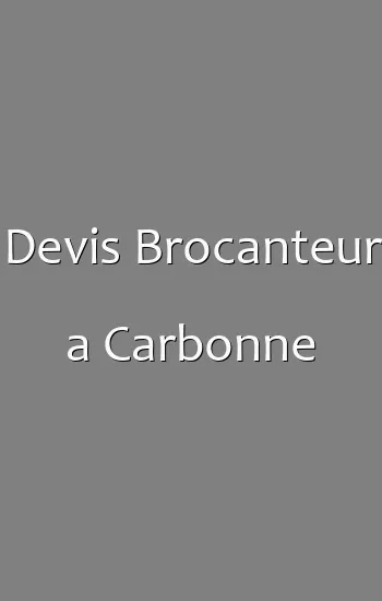 Devis Brocanteur a Carbonne