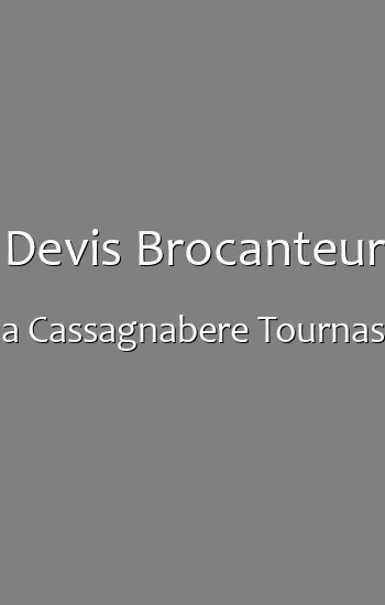 Devis Brocanteur a Cassagnabere Tournas