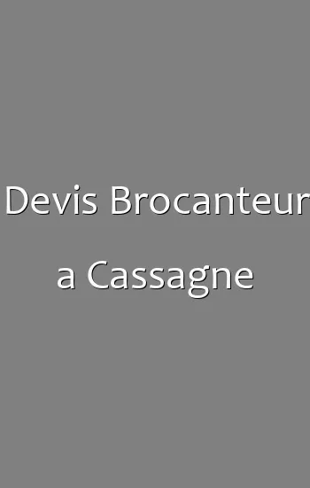 Devis Brocanteur a Cassagne