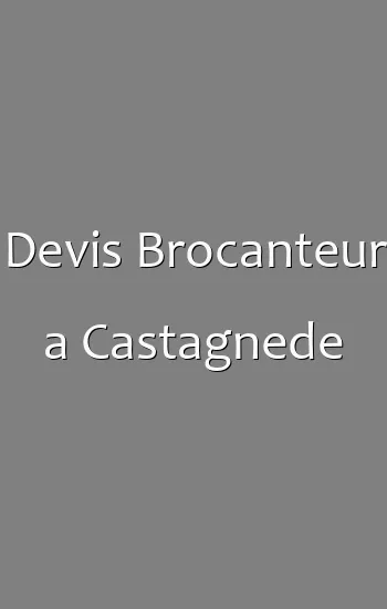 Devis Brocanteur a Castagnede