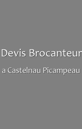 Devis Brocanteur a Castelnau Picampeau