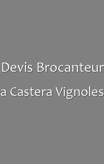 Devis Brocanteur a Castera Vignoles
