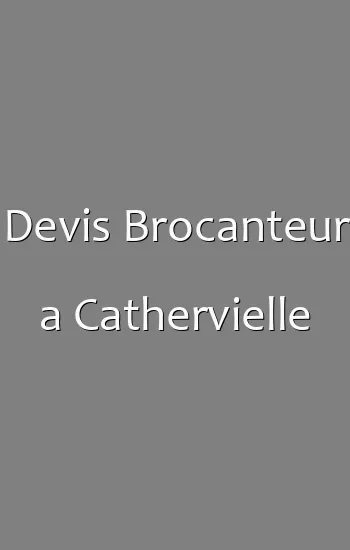 Devis Brocanteur a Cathervielle