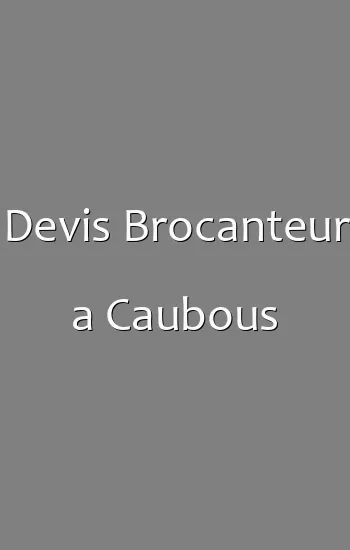 Devis Brocanteur a Caubous