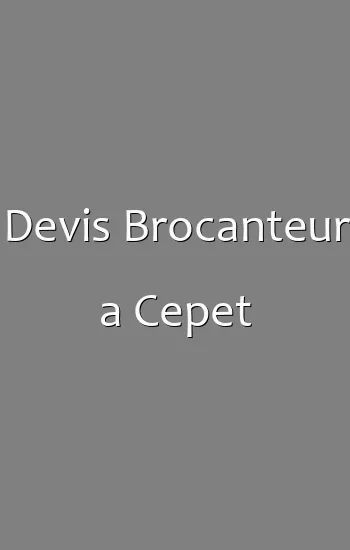 Devis Brocanteur a Cepet