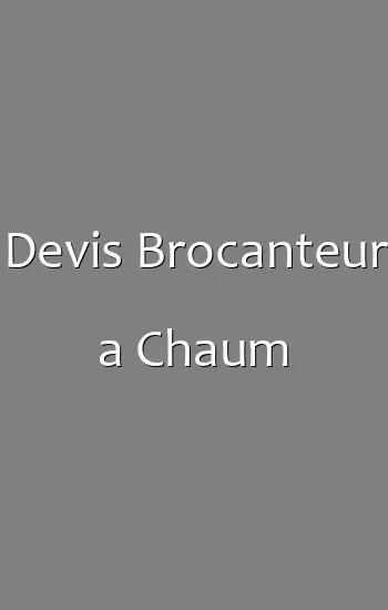 Devis Brocanteur a Chaum