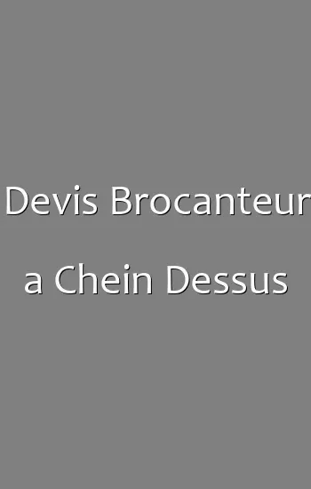 Devis Brocanteur a Chein Dessus