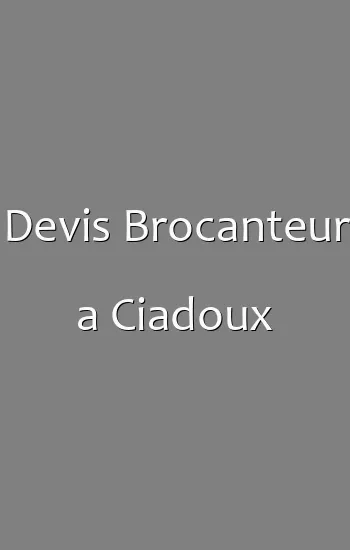 Devis Brocanteur a Ciadoux