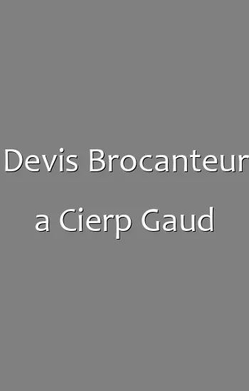 Devis Brocanteur a Cierp Gaud