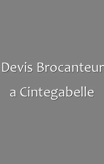 Devis Brocanteur a Cintegabelle
