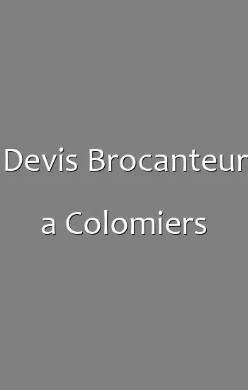 Devis Brocanteur a Colomiers