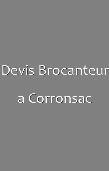 Devis Brocanteur a Corronsac