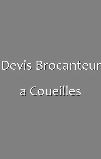 Devis Brocanteur a Coueilles