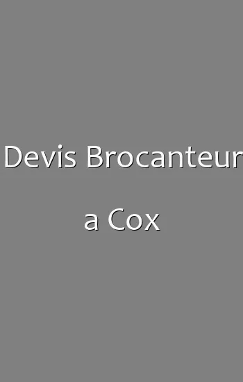 Devis Brocanteur a Cox
